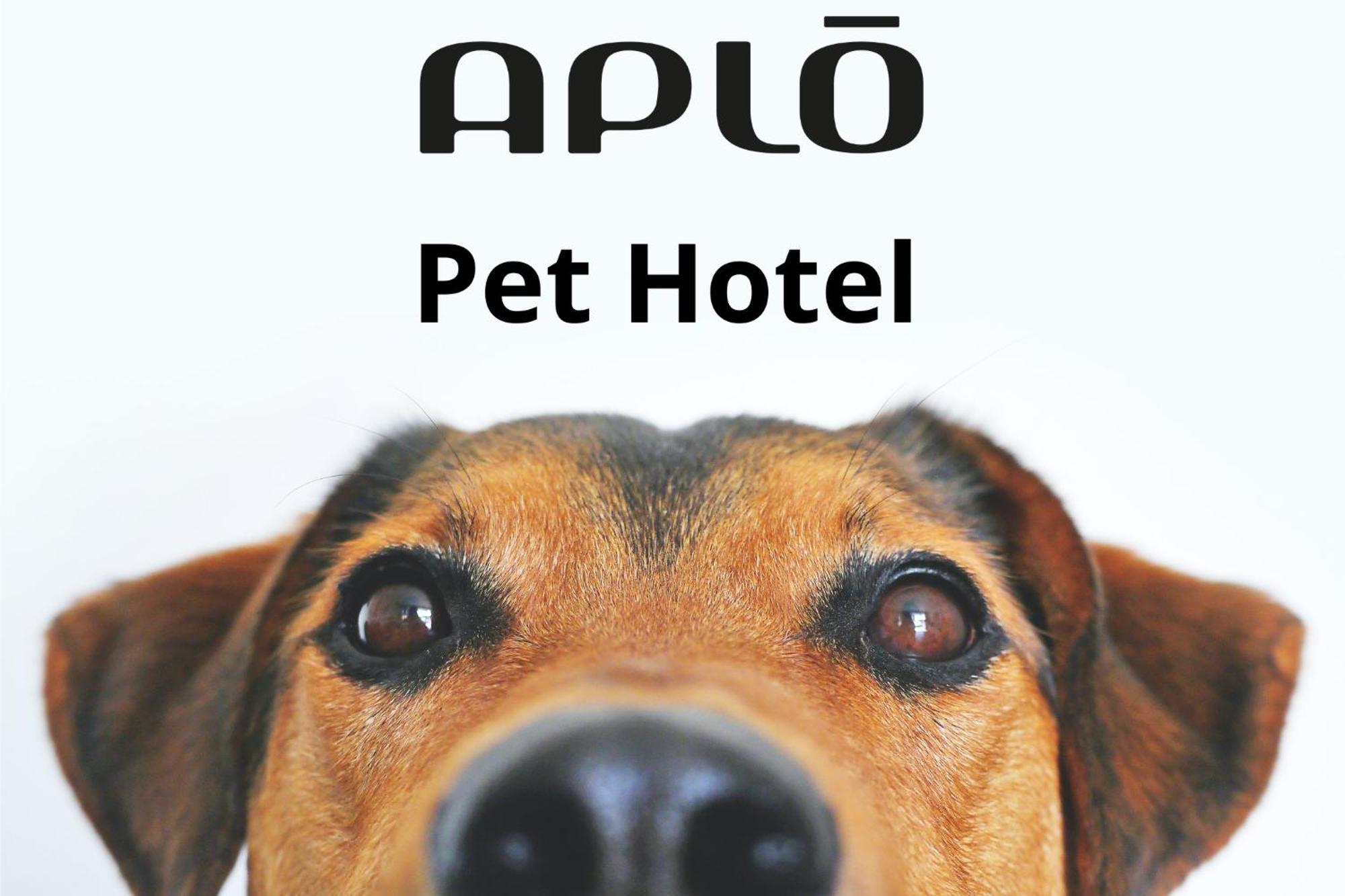 Hotel Aplo - Breakfast Experience แชร์เวีย ภายนอก รูปภาพ
